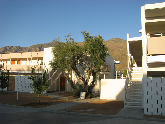 Ace Hotel Palm Springs