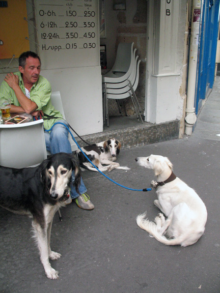 paris threedogs Paris 7/23/2006   8/11/2006