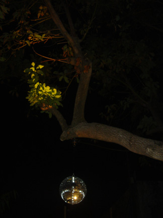 m2 discoball web Miami 2006   Part 2