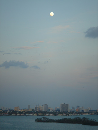 m2 moonovermiami2 web Miami 2006   Part 2